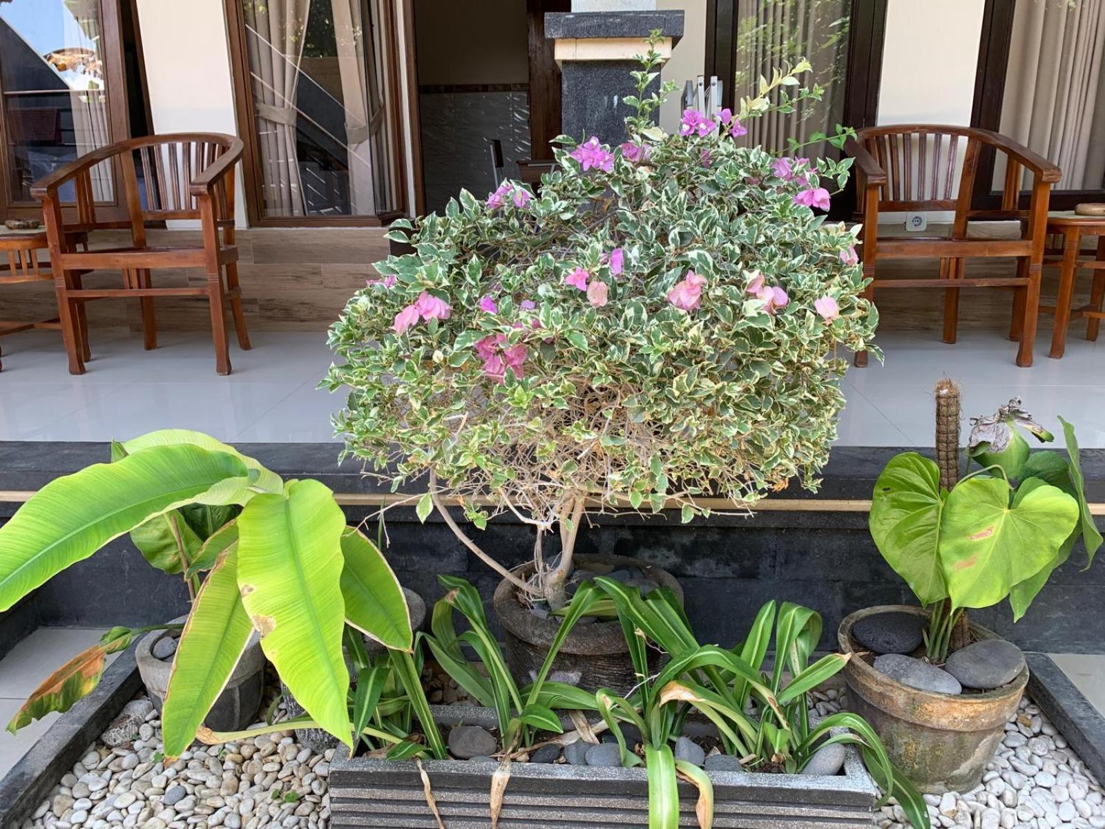 Jepun Inn Padangbai  Buitenkant foto