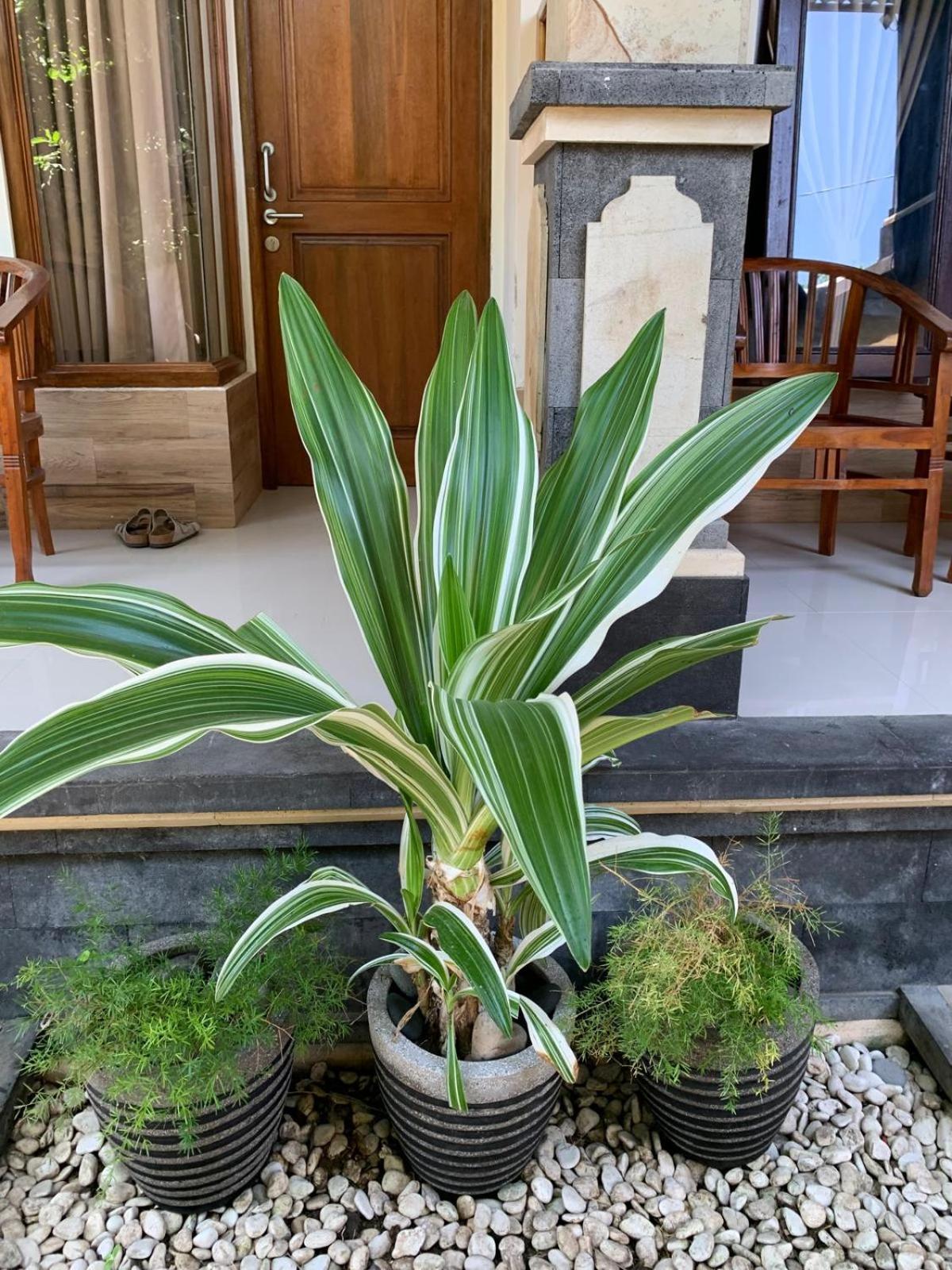 Jepun Inn Padangbai  Buitenkant foto