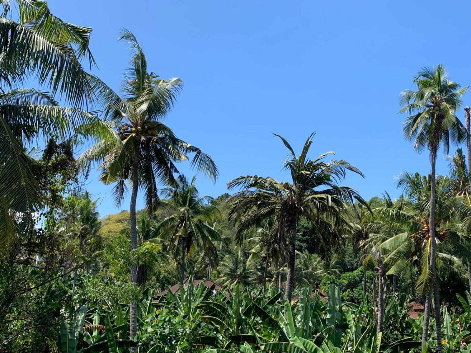 Jepun Inn Padangbai  Buitenkant foto